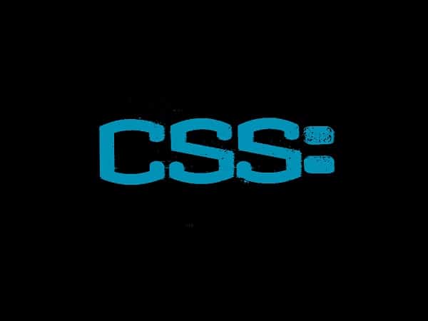 CSS class vs ID