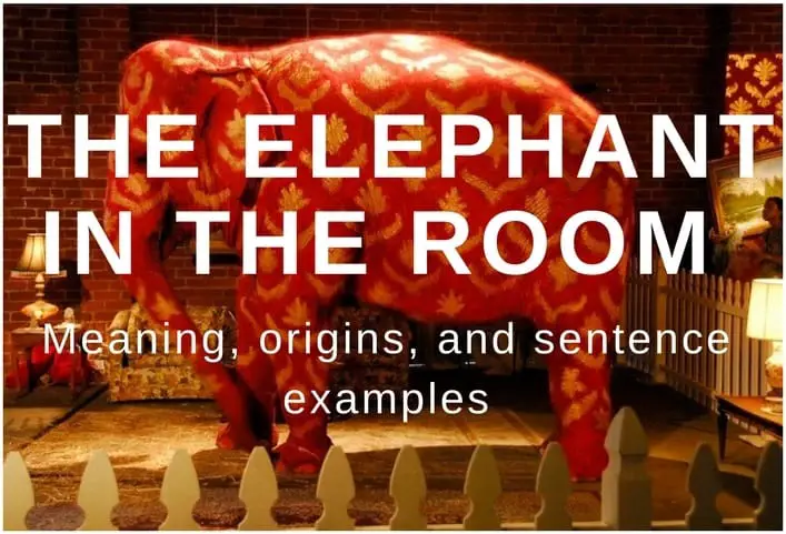 elephant in the room meaning