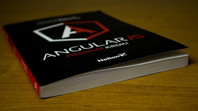 Angular JS book
